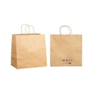 Twist Handle Paper Bag M - Brown, 305mm x 175mm x 305mm, 120gsm (250)